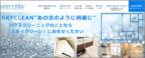 SKYCLEAN