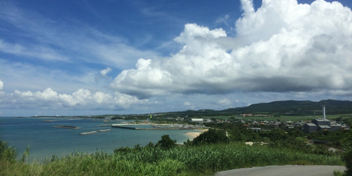 島尻郡久米島町の花　クメジマツツジ