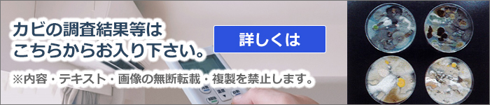 カビの調査結果等はこちらからお入り下さい。